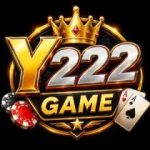 y222 Game